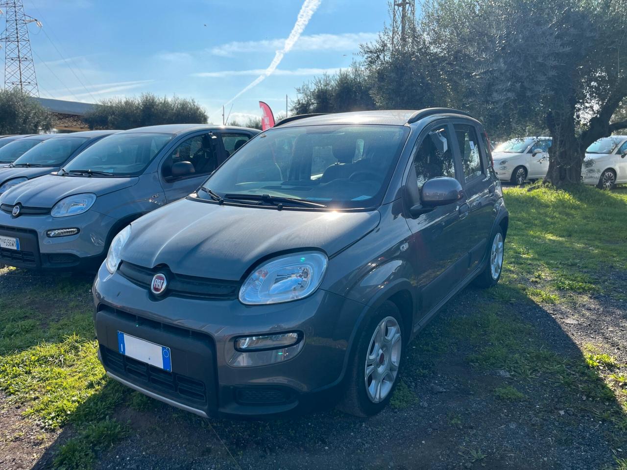 Fiat Panda 1.0 FireFly S&S Hybrid