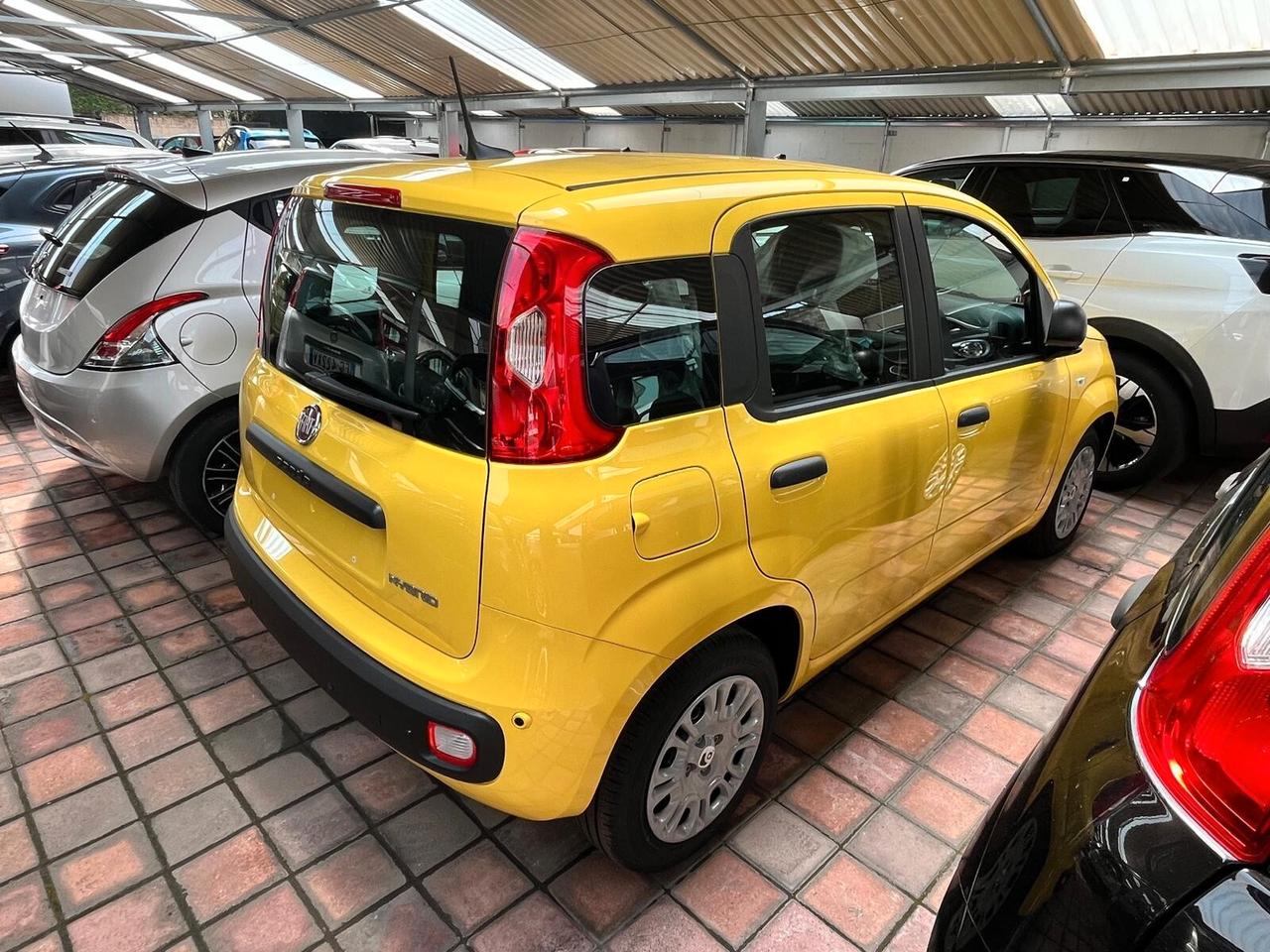 Fiat Panda 1.0 FireFly S&S Hybrid Pandina