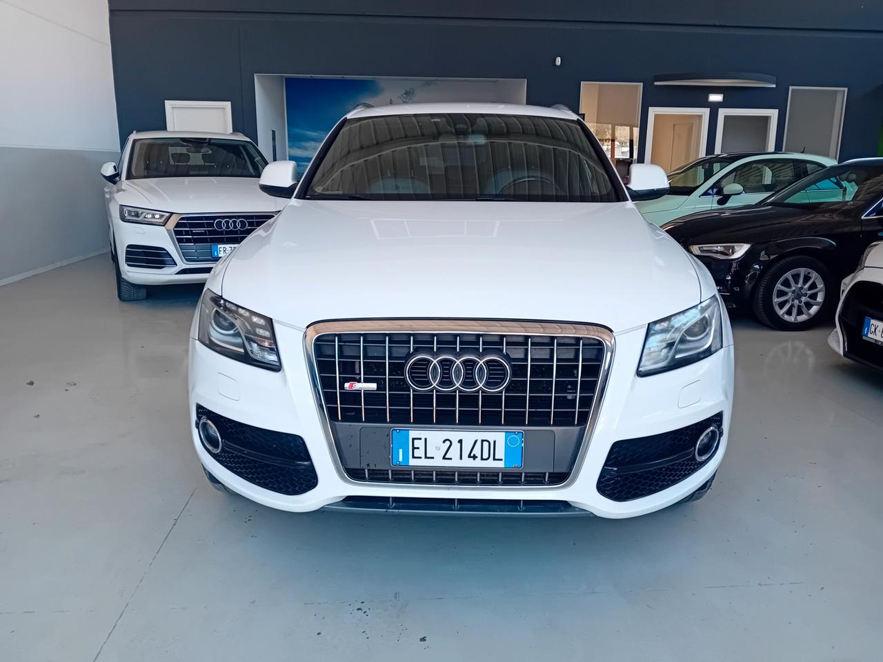 Audi Q5 2.0 TDI 170 CV quattro S-Line interno e esterno