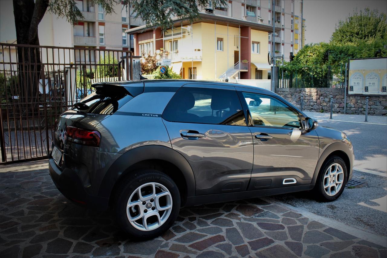Citroen C4 Cactus PureTech 130 S&S EAT6 Shine GPL
