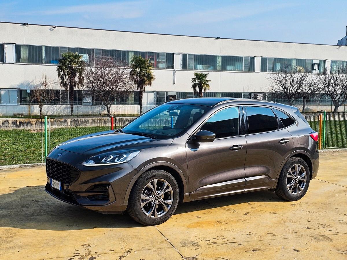 Ford Kuga 1.5 EcoBlue 120 CV 2WD ST-Line