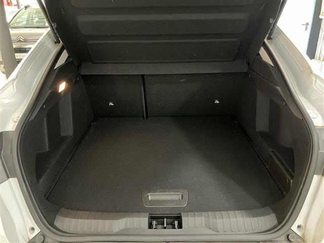 RENAULT Arkana 1.6 E-Tech full hybrid Techno Auto 145cv