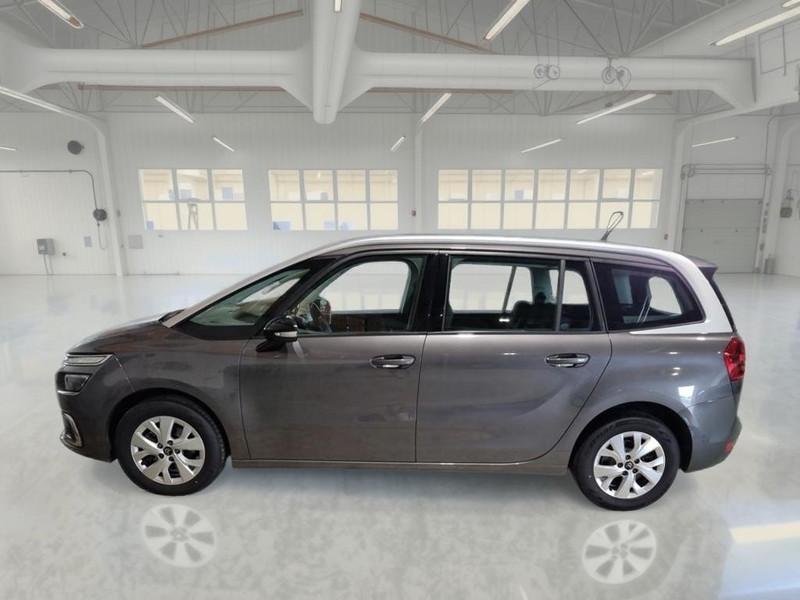 CITROEN C4 SPACETOURER BLUEHDI 130 SES EAT8 FEEL MONOVOLUME