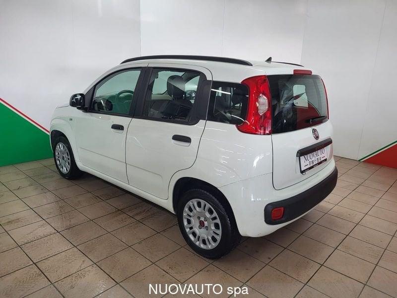 FIAT Panda 1.2 69cv Easy