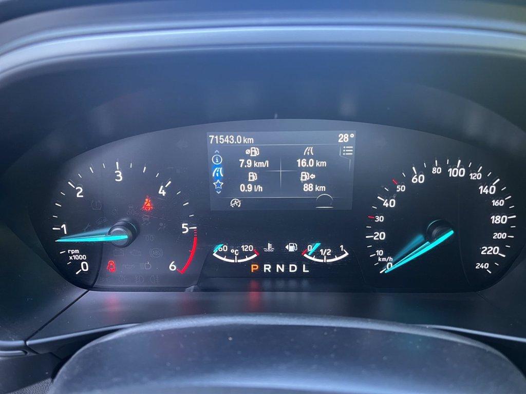 FORD Focus Active 1.5 ecoblue 120cv auto del 2023