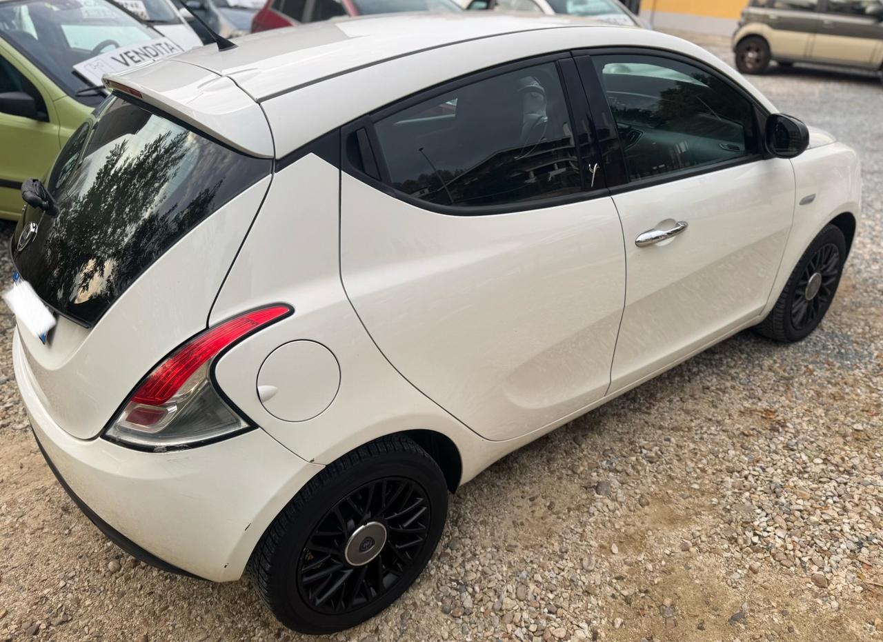 Lancia Ypsilon 1.3 MJT 5 porte neopatentati