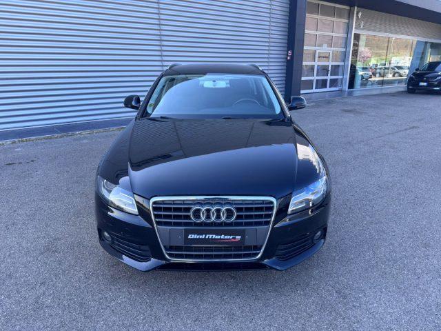 AUDI A4 Avant 2.0 TDI 143CV FAP. Advanced LED XENON