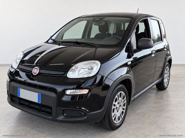 FIAT Pandina 1.0 FireFly 69 CV Hybrid Icon