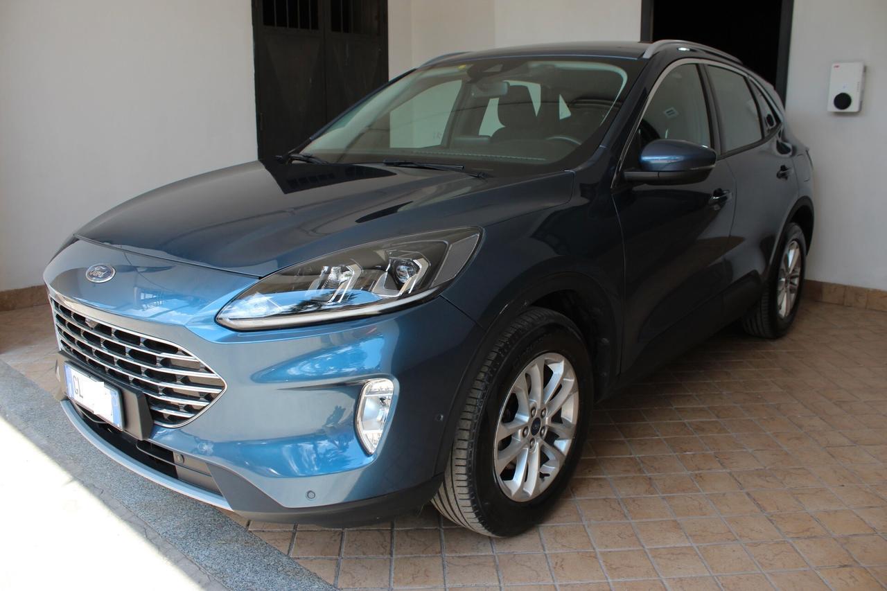 Ford Kuga 2.0 EcoBlue Hybrid 150 CV 2WD Titanium Business