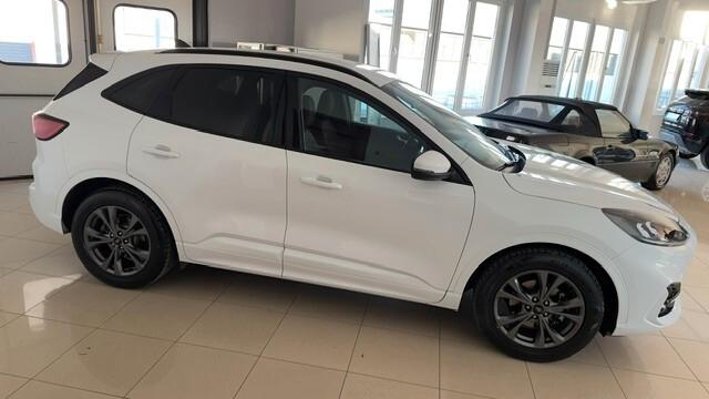 Ford Kuga 1.5 EcoBlue 120 CV 2WD ST-Line