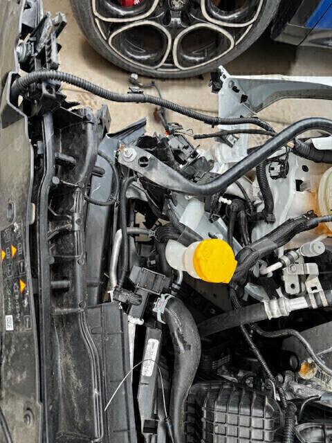 Renault Clio SCe 65 CV 5 porte Evolution 1.0 B 49KW 2023 8000KM