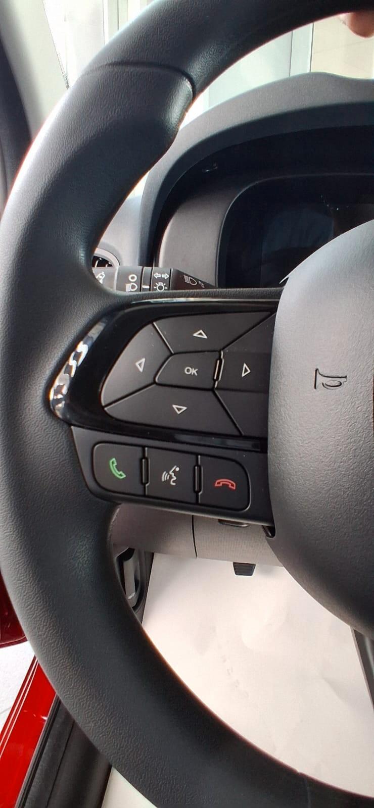 Fiat Panda 1.0 FireFly S&S Hybrid Pandina