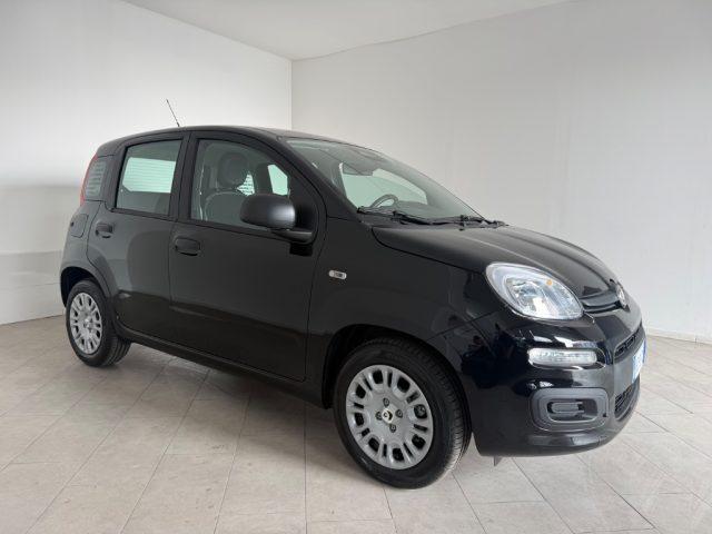FIAT Pandina 1.0 FireFly 65 CV Hybrid Icon