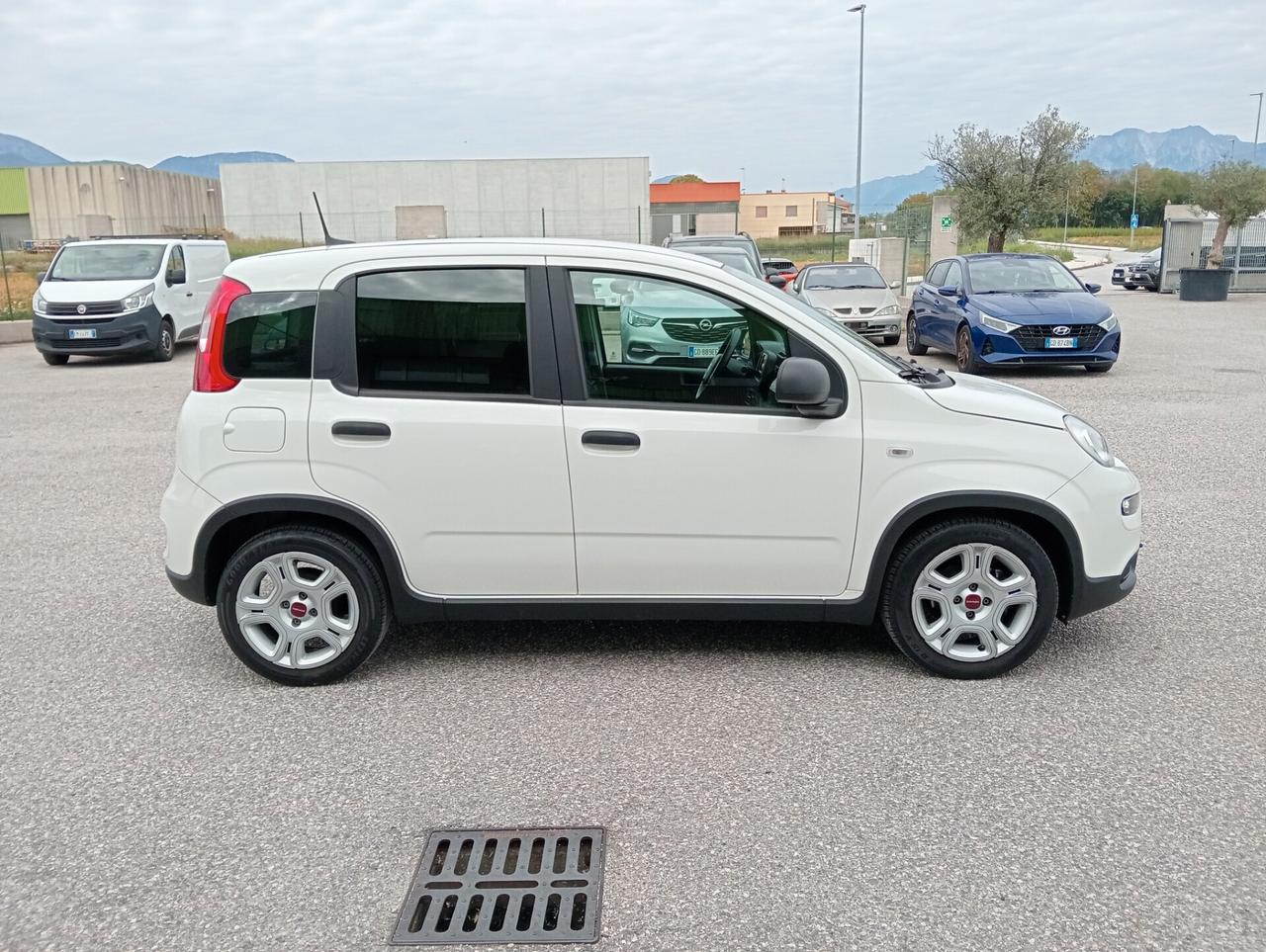 Fiat Panda 1.0 70CV Hybrid UNIPROPRIETARIO
