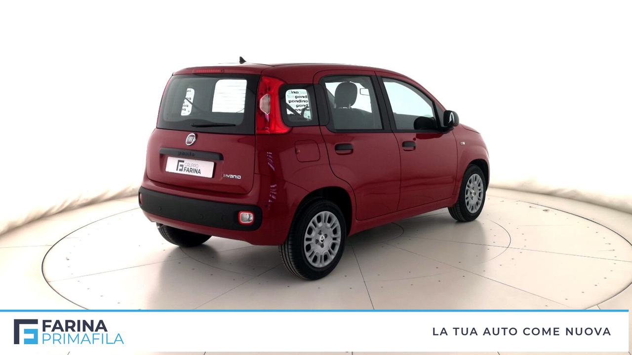FIAT Panda III 2021 - Panda 1.0 firefly hybrid Pop s&s 70cv