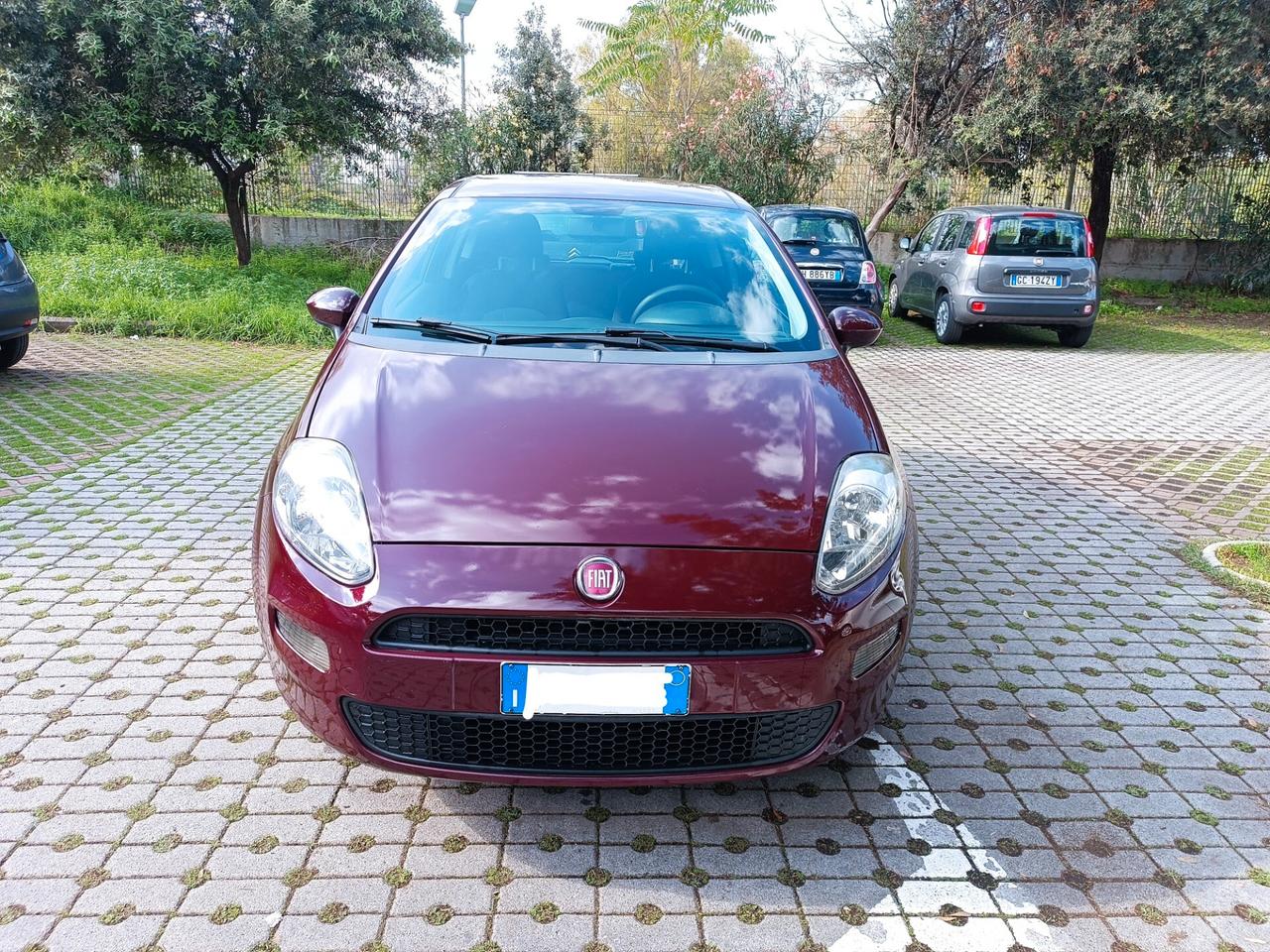 Fiat Punto 1.2 8V 3 porte Street