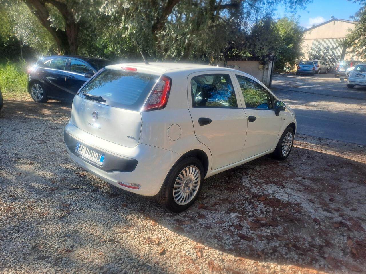 Fiat Punto Evo 1.2 5 porte S&S Dynamic