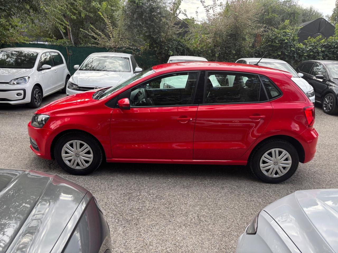 Volkswagen Polo 1.0 5 porte ok neopatentati