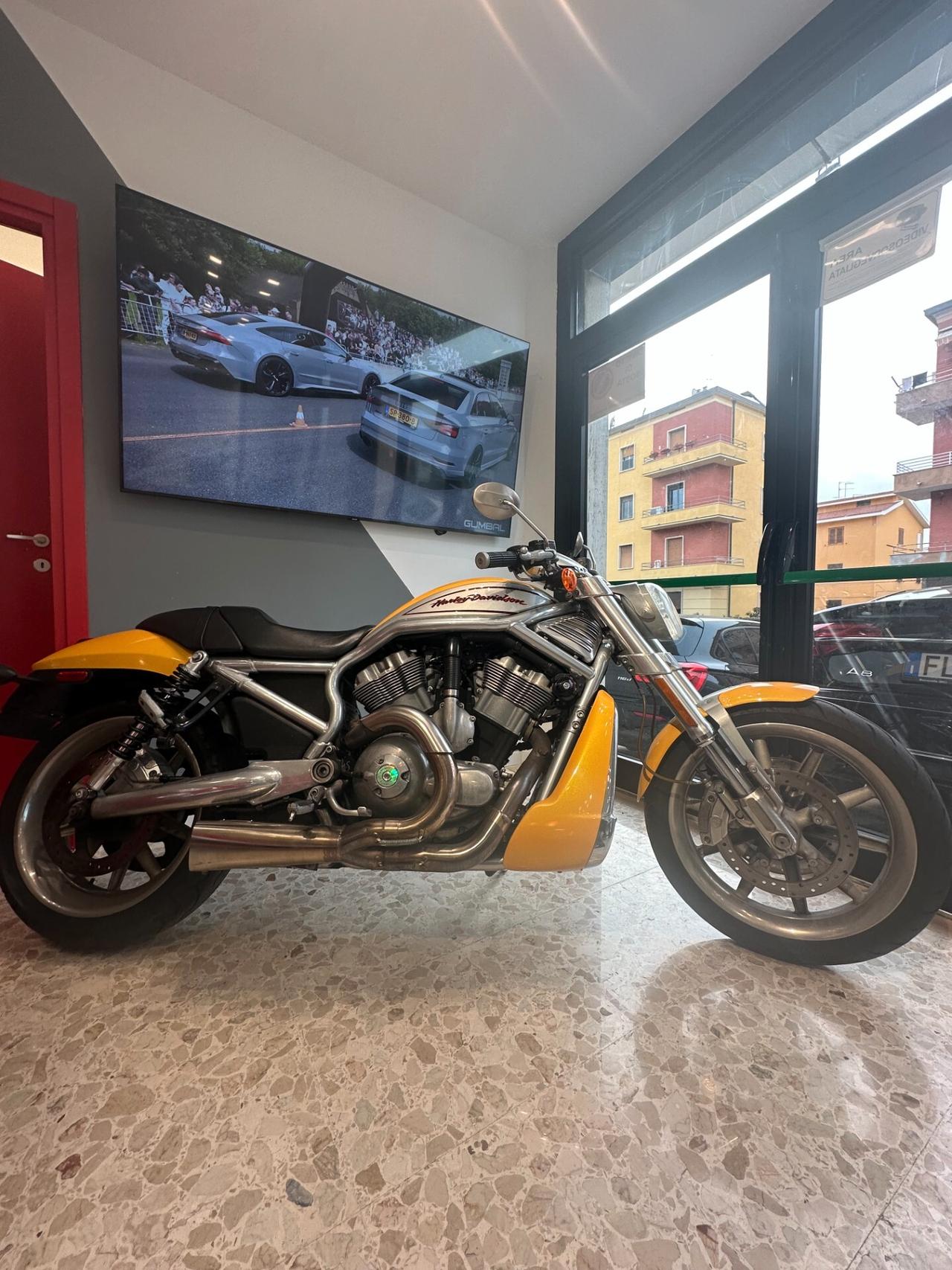 Harley-davidson 1130 V-ROD - VRSCR