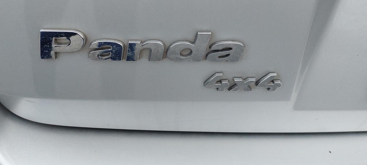 Fiat Panda 1.3 MJT 16V 4x4 Glam