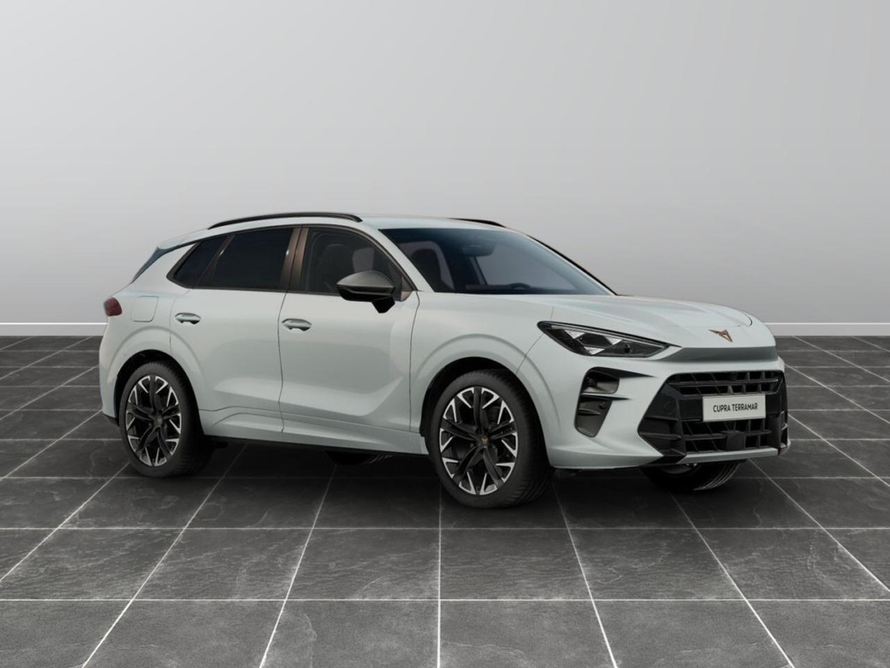 Cupra Terramar 1.5 e-hybrid 204cv impulse dsg
