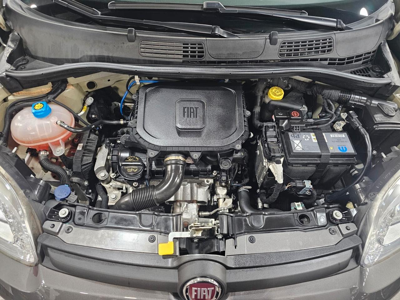 Fiat Panda 1.0 FireFly S&S Hybrid Sport