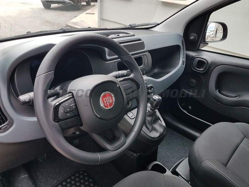 FIAT Panda Panda 1.0 firefly hybrid s&s 70cv
