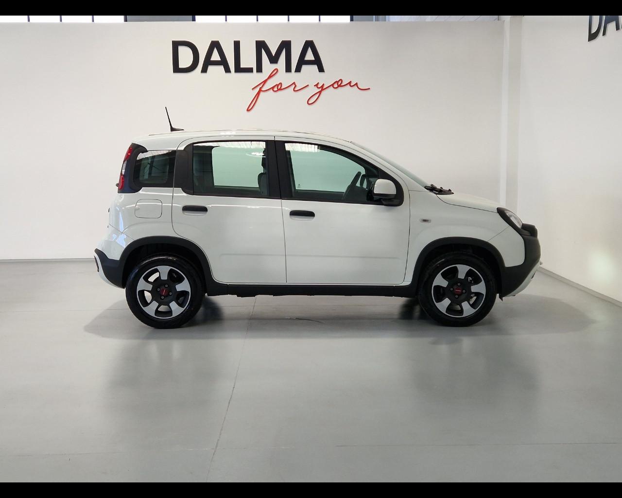 FIAT Panda III 2021 Cross - Panda 1.0 firefly hybrid Cross s&s 70cv 5p.ti