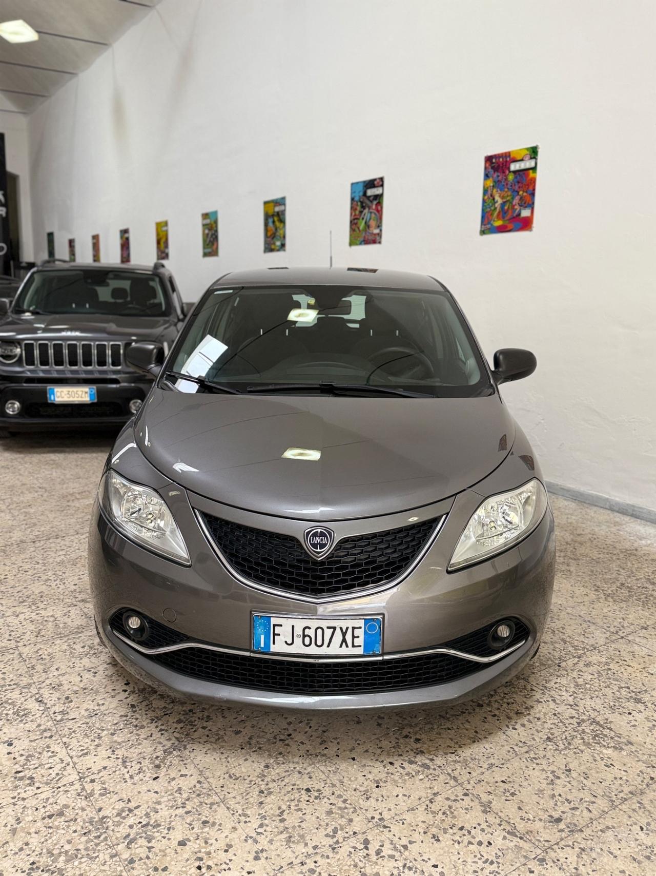 Lancia Ypsilon 1.3 MJT 16V 95 CV 5 porte S&S Platinum