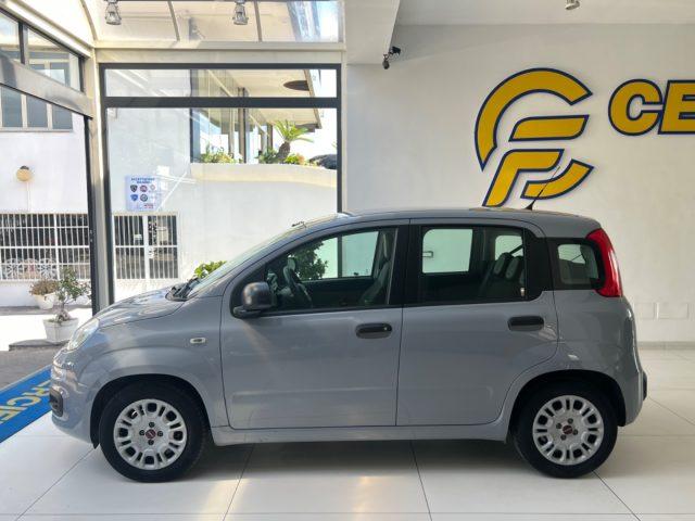 FIAT Panda 1.2 Easy GPL da ?99,00 mensili
