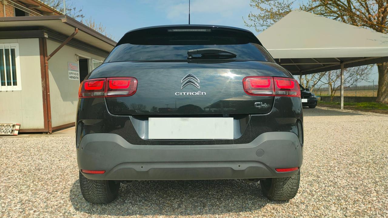 Citroen C4 Cactus 1.6 bluehdi Shine s&s 100cv