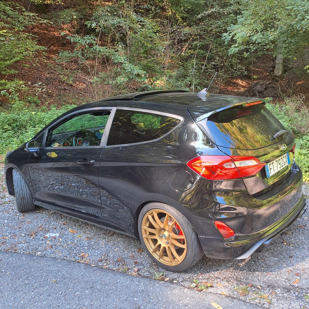 FIESTA ST200cv Performance - Tetto apribile