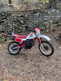Honda XL 350 R 1983 - iscritta FMI