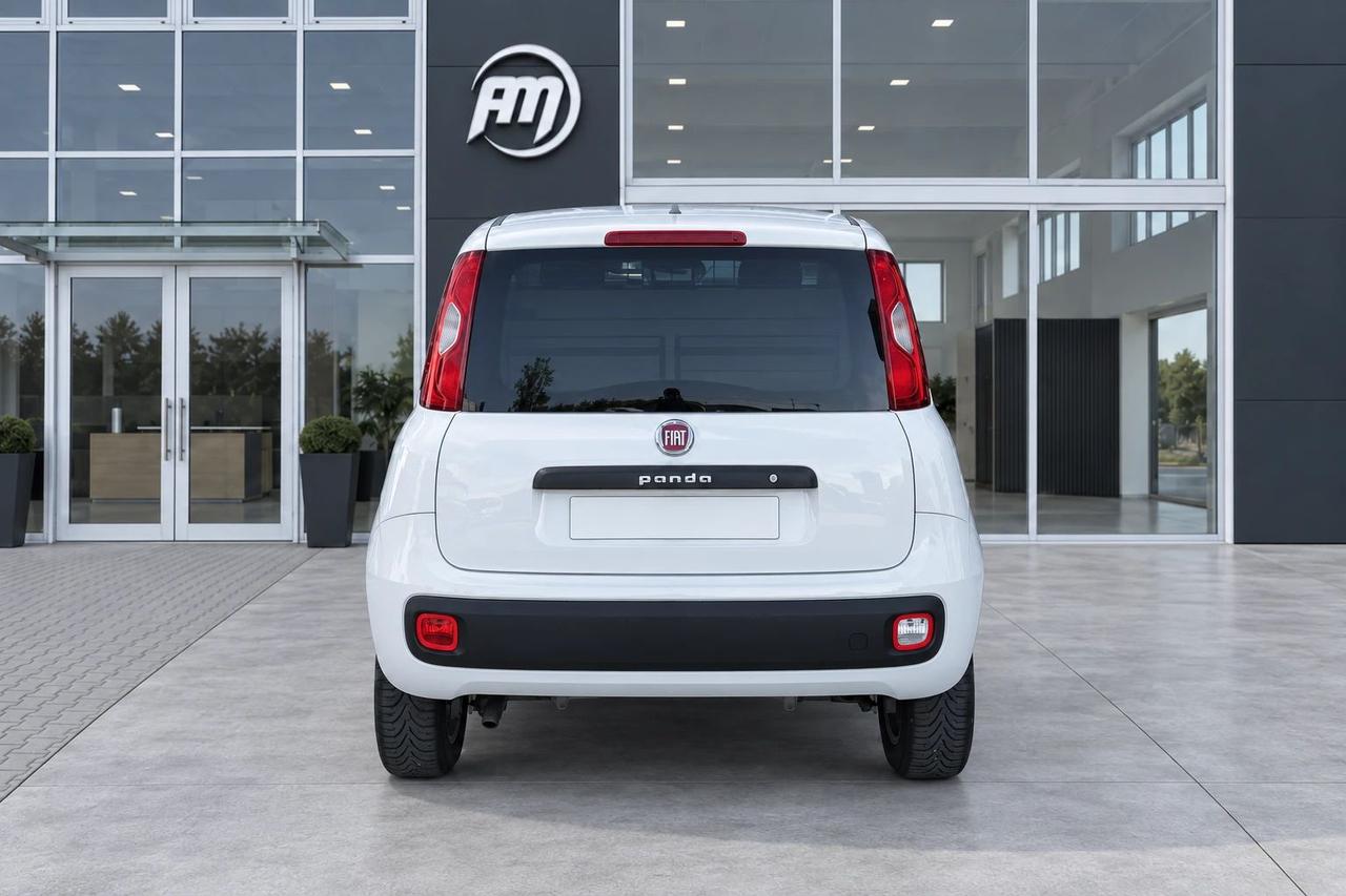 Fiat Panda VAN 1.3 MJT 80 CV 4X4