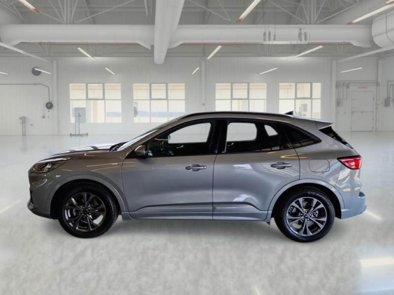 FORD KUGA 1.5 EcoBlue 120CV 2WD ST-Line Auto