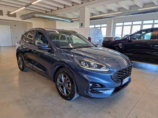 FORD Kuga 1.5 EcoBlue 120 CV ST-Line