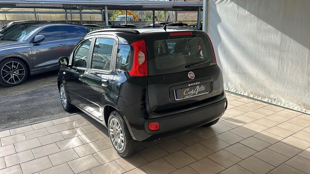 Fiat Panda 1.2 Benzina 2012 Lounge