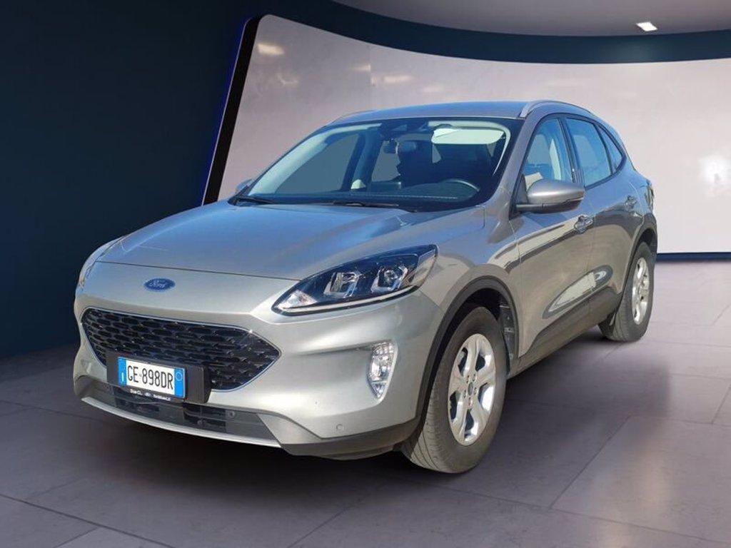 FORD Kuga 1.5 EcoBlue 120 CV 2WD Titanium Business del 2021