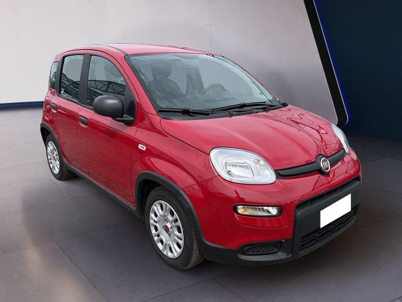 FIAT Panda My24 1.0 70cv Hybrid Panda
