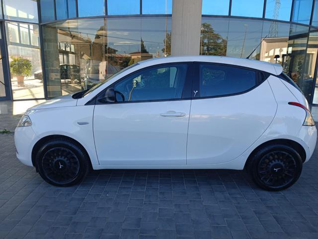 LANCIA Ypsilon 1.2 69 CV 5 porte Elefantino