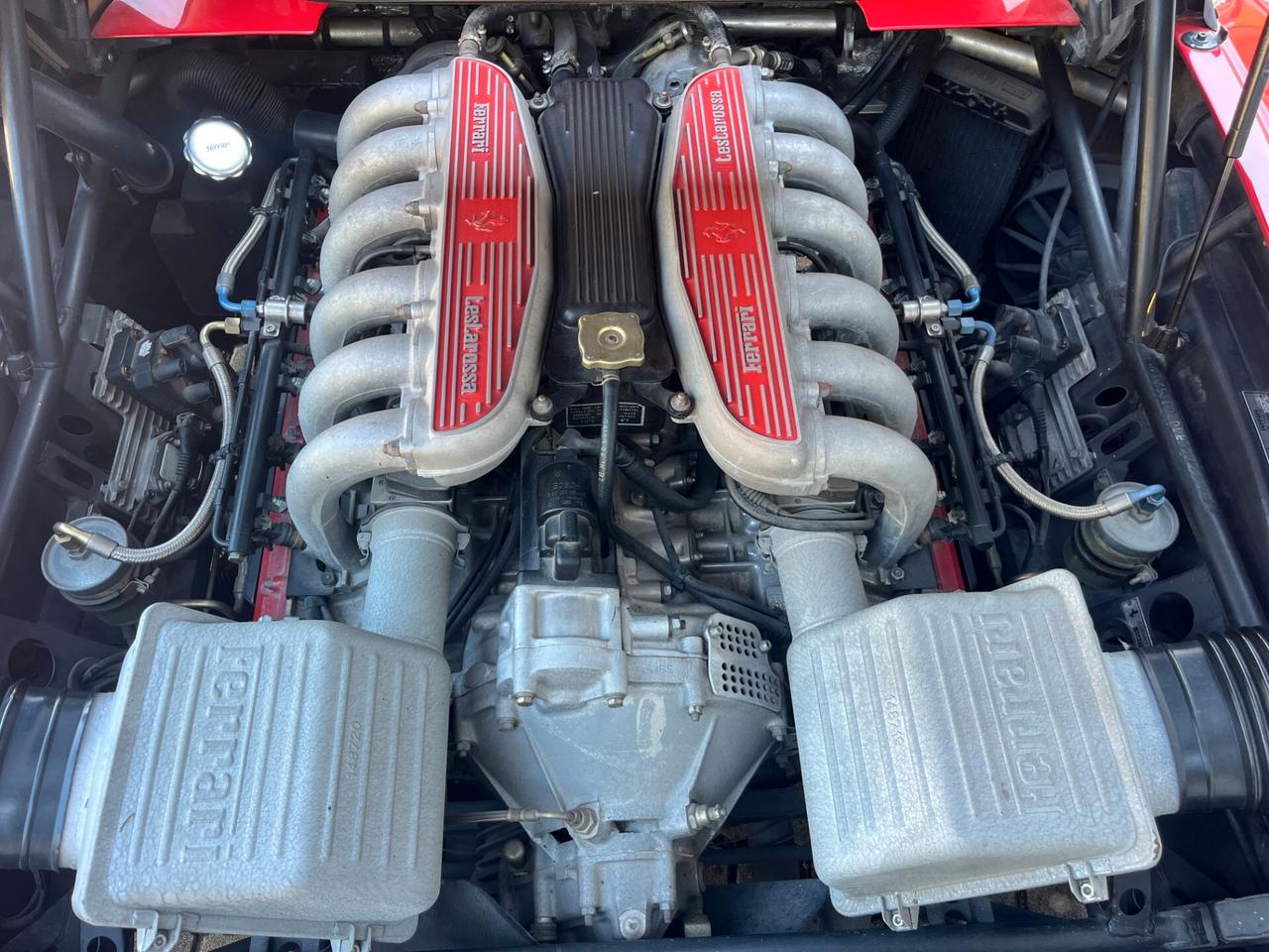 Ferrari 512 TR cat
