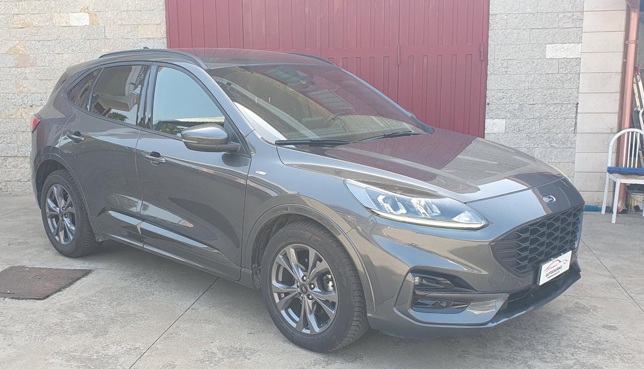 Ford Kuga 1.5 EcoBlue 120 CV aut. 2WD ST-Line