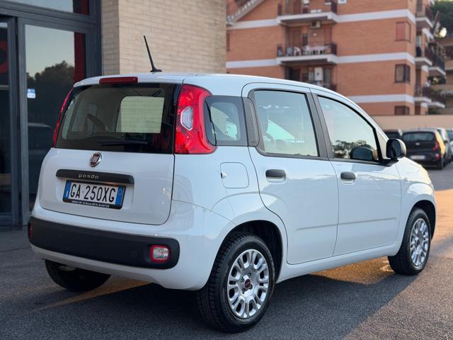 FIAT Panda 1.2 EasyPower Easy (NESSUN VINCOLO)