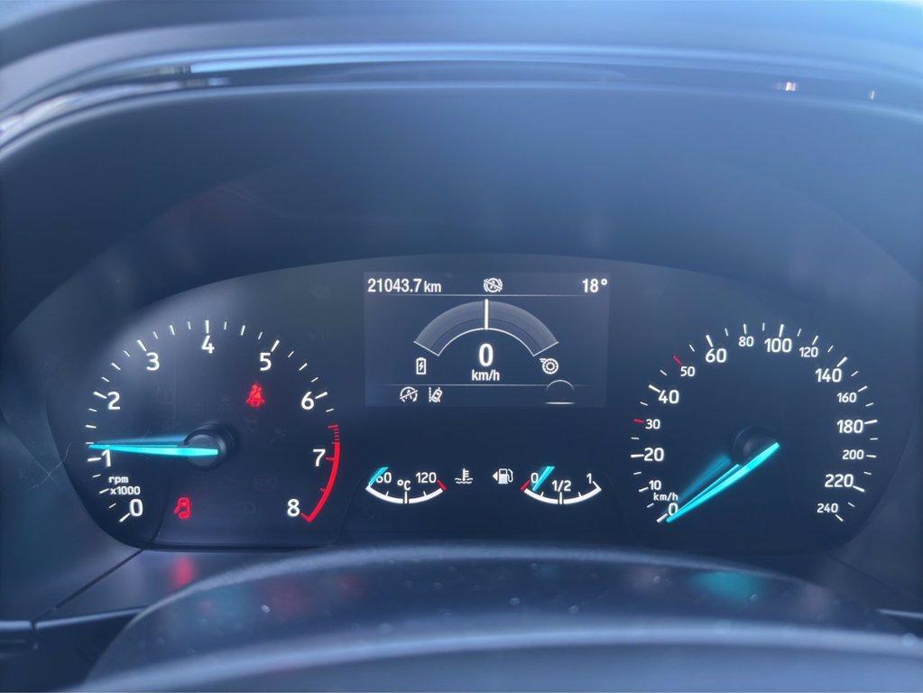 FORD Focus 1.0 EcoBoost Hybrid 125 CV 5p. ST-Line del 2023