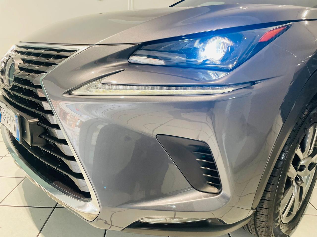 Lexus NX 300h NX Hybrid 4WD Business