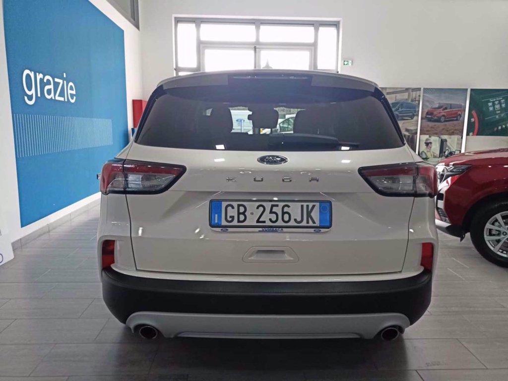 FORD Kuga 1.5 EcoBlue 120 CV 2WD Titanium Business del 2020