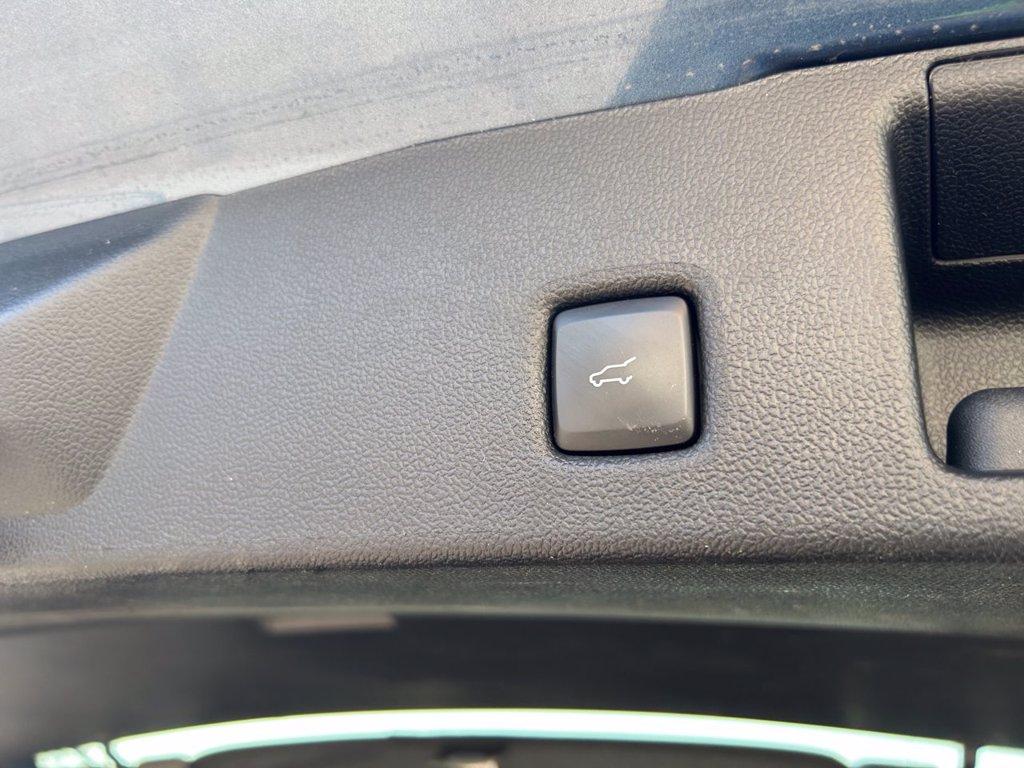 FORD Kuga 1.5 ecoblue st-line 2wd 120cv auto del 2022