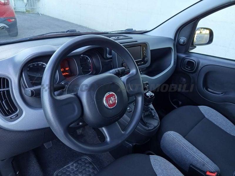FIAT Panda Panda 1.0 firefly hybrid City Life s&s 70cv 5p.ti