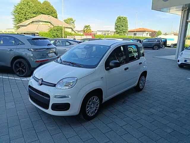 Fiat Panda Hybrid 1.0 FireFly 69cv ICON AZIENDALE