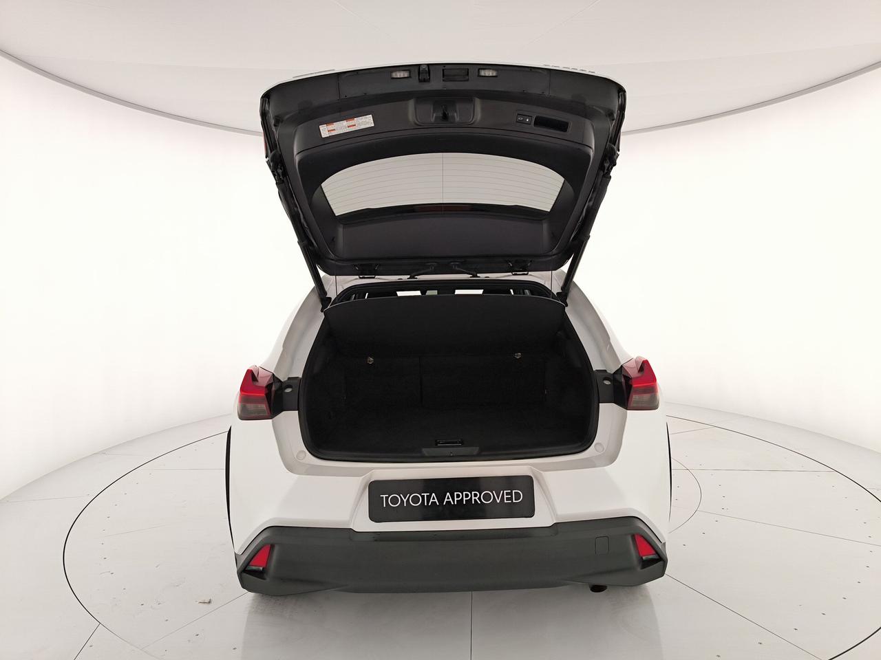 Lexus UX 250h 2.0 premium 4wd cvt